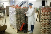Female staff loading cartons of eggs on pallet jack in egg factory — Stock Photo