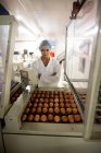 Mitarbeiterinnen untersuchen Eier auf Förderband in Eierfabrik — Stockfoto