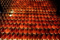 Eggs in lighting control quality in egg factory — Stock Photo