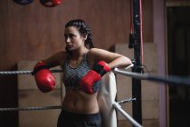 Уставший боксер в боксёрских перчатках опирается на веревки боксерского ринга в фитнес-студии — стоковое фото