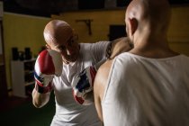 Primer plano de dos boxeadores tailandeses practicando boxeo en gimnasio - foto de stock
