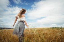 Mulher bonita tocando trigo no campo — Fotografia de Stock