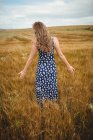 Visão traseira da mulher tocando trigo no campo — Fotografia de Stock