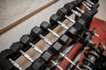 Close-up de halteres arranjados no estúdio de fitness — Fotografia de Stock