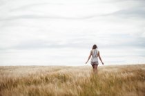 Rear view of woman walking through wheat field on sunny day — Stock Photo