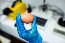 Immagine ritagliata del rigo che esamina l'uovo in fabbrica — Foto stock