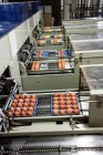 Яйца движутся по производственной линии на заводе — стоковое фото