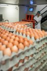 Personale femminile che carica scatole di uova su martinetto in fabbrica di uova — Foto stock