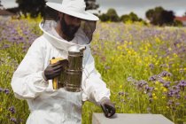 Beekeeper using bee smoker in field — Stock Photo