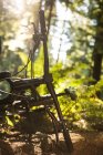 Close-up of bicycle in forest in sunlight — Stock Photo