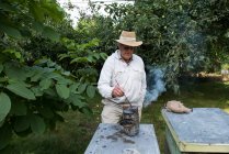 Пчеловод курит пчел вдали от улья в пасечном саду — стоковое фото