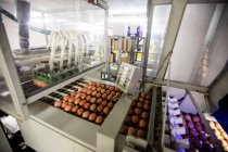 Яйця переміщення по лінії виробництва на заводі — стокове фото