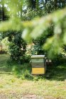Bee hives in apiary garden on sunny day — Stock Photo
