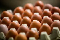 Gros plan sur les œufs disposés dans un carton d'œufs — Photo de stock