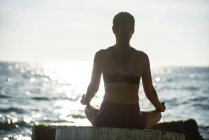 Rear view of woman practicing yoga on driftwood on sunny day — Stock Photo