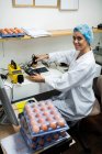 Equipe feminina examinando ovo no monitor digital de ovos na fábrica de ovos — Fotografia de Stock