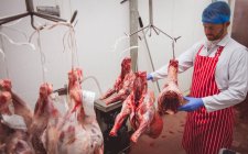 Мясник вешает красное мясо на склад в мясной лавке — стоковое фото