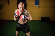 Shirtless muscular Thai boxer practicing boxing in gym — Stock Photo