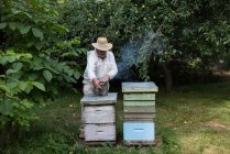Apiculteur fumant des abeilles loin de la ruche dans le jardin rucher — Photo de stock