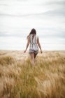 Вид ззаду жінки, що йде через пшеничне поле в сонячний день — стокове фото