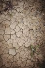 Primo piano di terra secca screpolata marrone — Foto stock