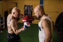 Vista lateral de dos boxeadores tailandeses musculosos practicando en el gimnasio - foto de stock