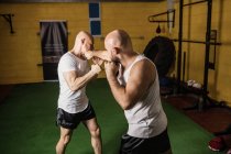 Two thai boxers training in gym — Stock Photo