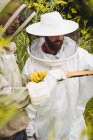 Apiculteurs détenant et examinant des ruches sur le terrain — Photo de stock