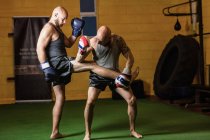 Two kick boxers practicing boxing in gym — Stock Photo