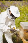 Beekeeper using bee smoker in field — Stock Photo