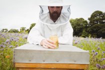 Beekeeper holding bottle of honey on beehive in field — Stock Photo