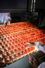 Обрізане зображення працівника, який вивчає якість яєць у контролі освітлення на яєчній фабриці — стокове фото