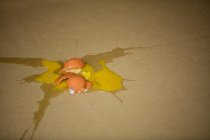 Huevos rotos en el suelo en fábrica de huevos - foto de stock
