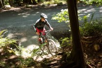 Молодой велосипедист катается на велосипеде в лесу на солнце — стоковое фото