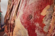 Gros plan sur la viande rouge pelée suspendue dans la salle de stockage de la boucherie — Photo de stock