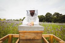 Apiculteur tenant une bouteille de miel sur une ruche dans un champ — Photo de stock