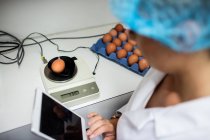 Женщины-сотрудники используют цифровой планшет при исследовании яйца на цифровом мониторе яйцеклетки — стоковое фото