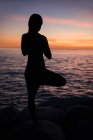 Vue arrière de la femme exécutant le yoga sur le rocher pendant le beau coucher de soleil — Photo de stock