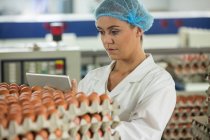 Attentive female staff using digital tablet in egg factory — Stock Photo
