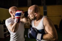 Портрет двух тайских боксеров, практикующих бокс в тренажерном зале — стоковое фото