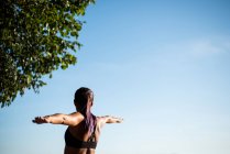 Вид ззаду жінка практикує йогу в саду в сонячний день — стокове фото