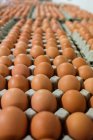 Ovos dispostos em caixas de ovos na fábrica de ovos — Fotografia de Stock