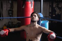 Schöner müder Boxer ruht sich auf dem Boxring aus — Stockfoto