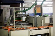 Eggs moving on production line in factory — Stock Photo