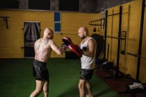 Vista lateral de dos boxeadores tailandeses musculosos practicando en el gimnasio - foto de stock