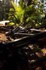 Close-up of bicycle detail in forest in sunlight — Stock Photo