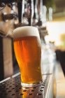 Close-up of beer glass with froth in a bar — Stock Photo