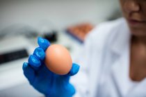 Imagem cortada do pessoal feminino examinando ovo na fábrica de ovos — Fotografia de Stock