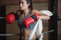 Selective focus of Tired boxer in boxing gloves leaning on ropes of boxing ring at fitness studio — Stock Photo