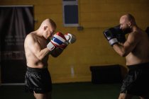 Вид збоку на двох тайських боксерів тренувань у спортзалі — стокове фото